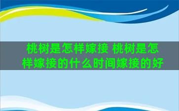 桃树是怎样嫁接 桃树是怎样嫁接的什么时间嫁接的好